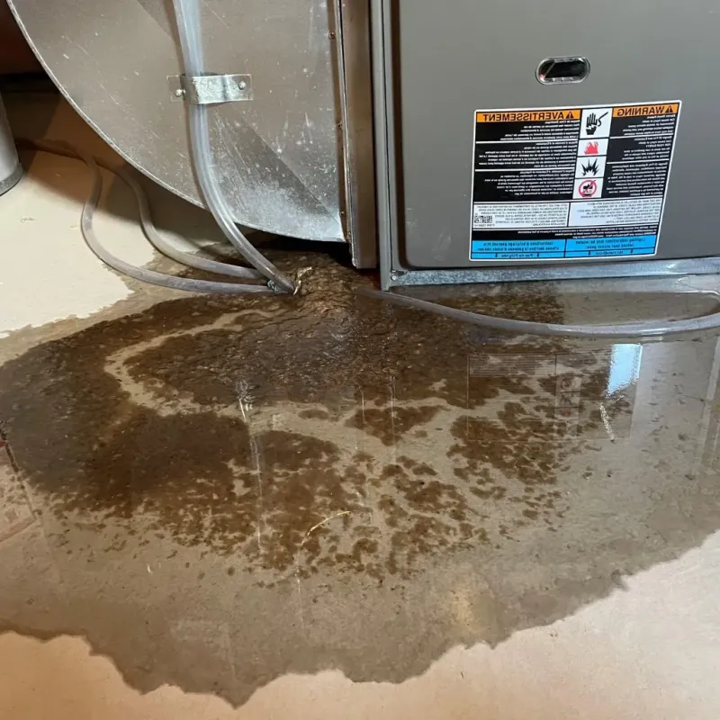 Pipe Burst and Leak Restoration in Bluewell, WV