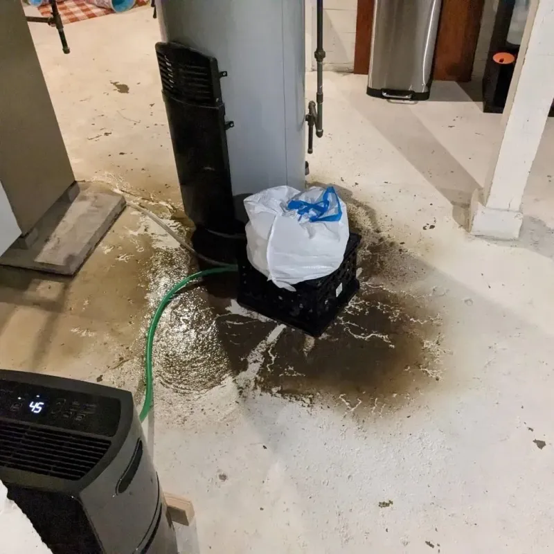 Sewage Backup Cleanup Service in Bluewell, WV